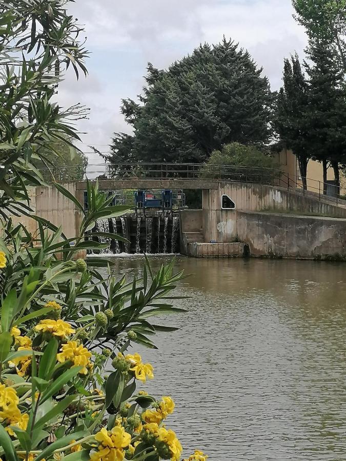Villa Sainte Marie Narbona Esterno foto