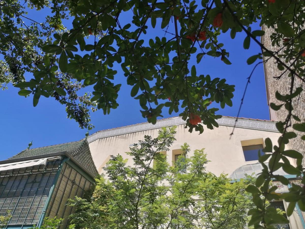 Villa Sainte Marie Narbona Esterno foto