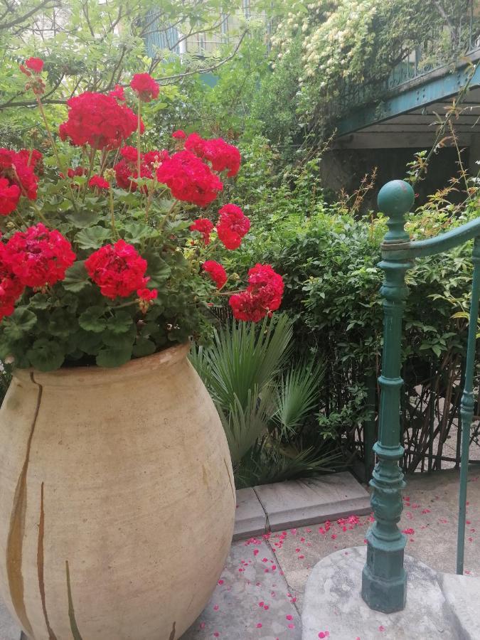 Villa Sainte Marie Narbona Esterno foto